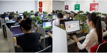 假期结束的惆怅与教育咨询的冷静反思